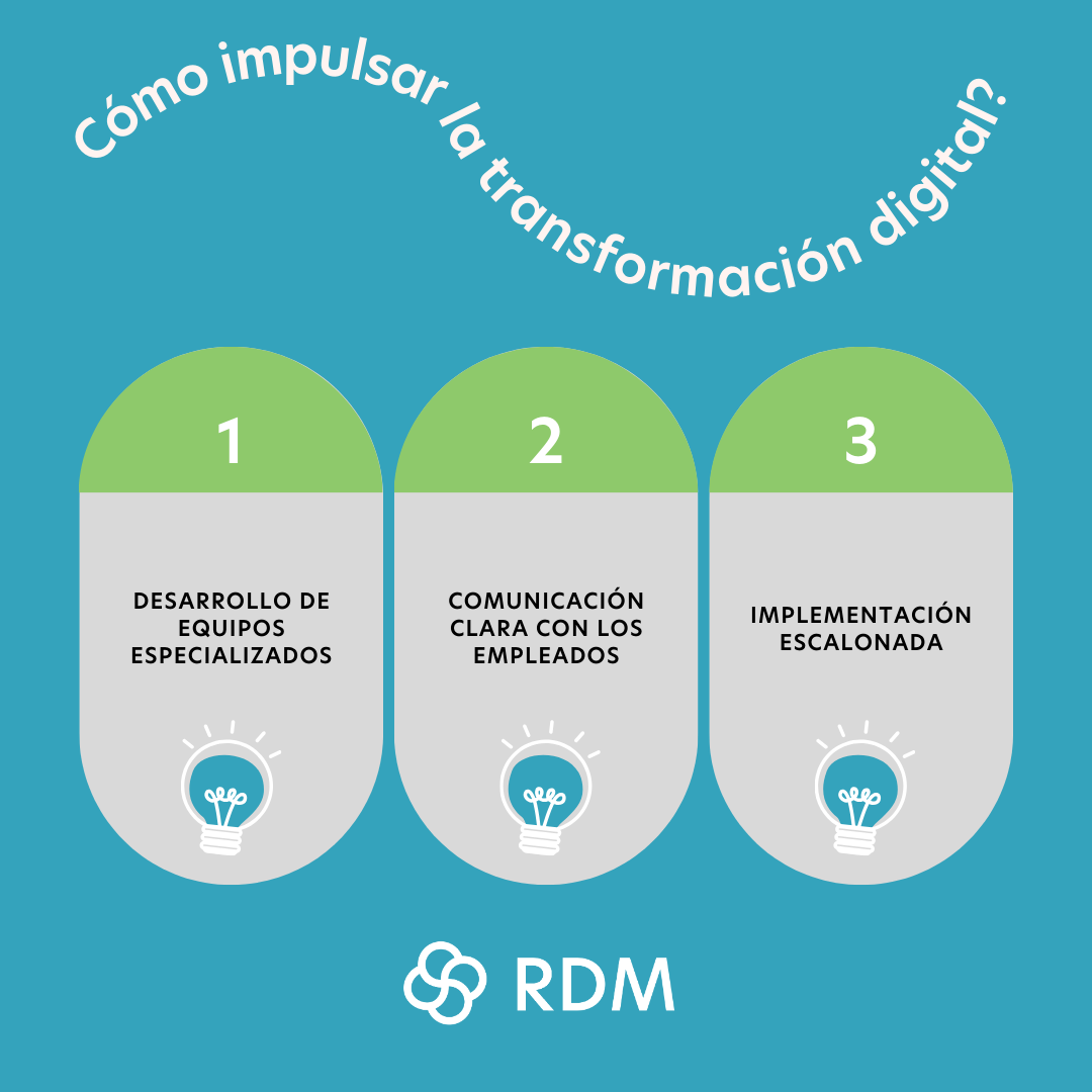 RDM pieza 1